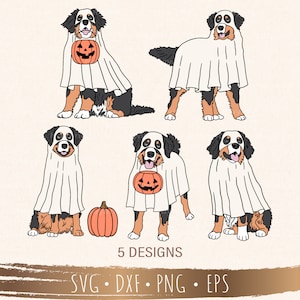 Halloween Berner Sennenhund svg, Boo svg, Halloween svg, Dateien für Cricut, Silhouette, Sublimation, digitaler Download