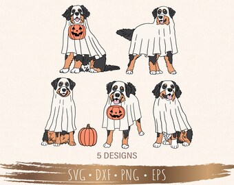 Halloween bernese mountain dog svg, Boo svg, Halloween svg, Files for Cricut, silhouette, Sublimation, Digital Download