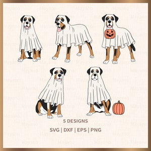 Halloween Schweizer Sennenhund SVG, Boo svg, Halloween svg, Dateien für Cricut, Silhouette, Sublimation, digitaler Download