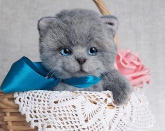 British kitten  Realistic toy Stuffed cat
