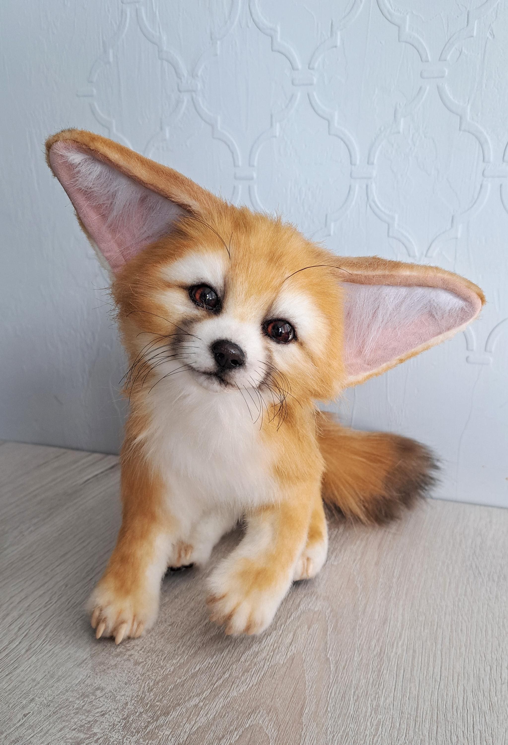 Red Fennec Fox Dog Fennec Fox By Jane Schnetlage