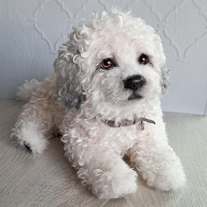 Maltipoo Stuffed dog Realistic toy