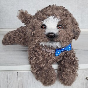 Maltipoo Stuffed dog Realistic toy