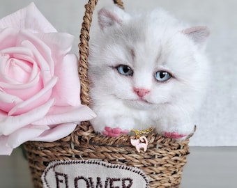 White kitten Stuffed cat Realistic toy