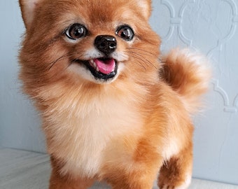 Pomeranian puppy Teddy Stuffed toy