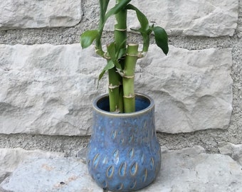 handmade ceramic bamboo planter sea spray