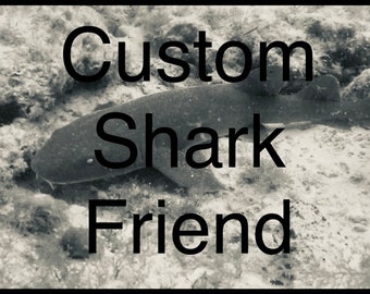 Custom Shark Friend for Leila