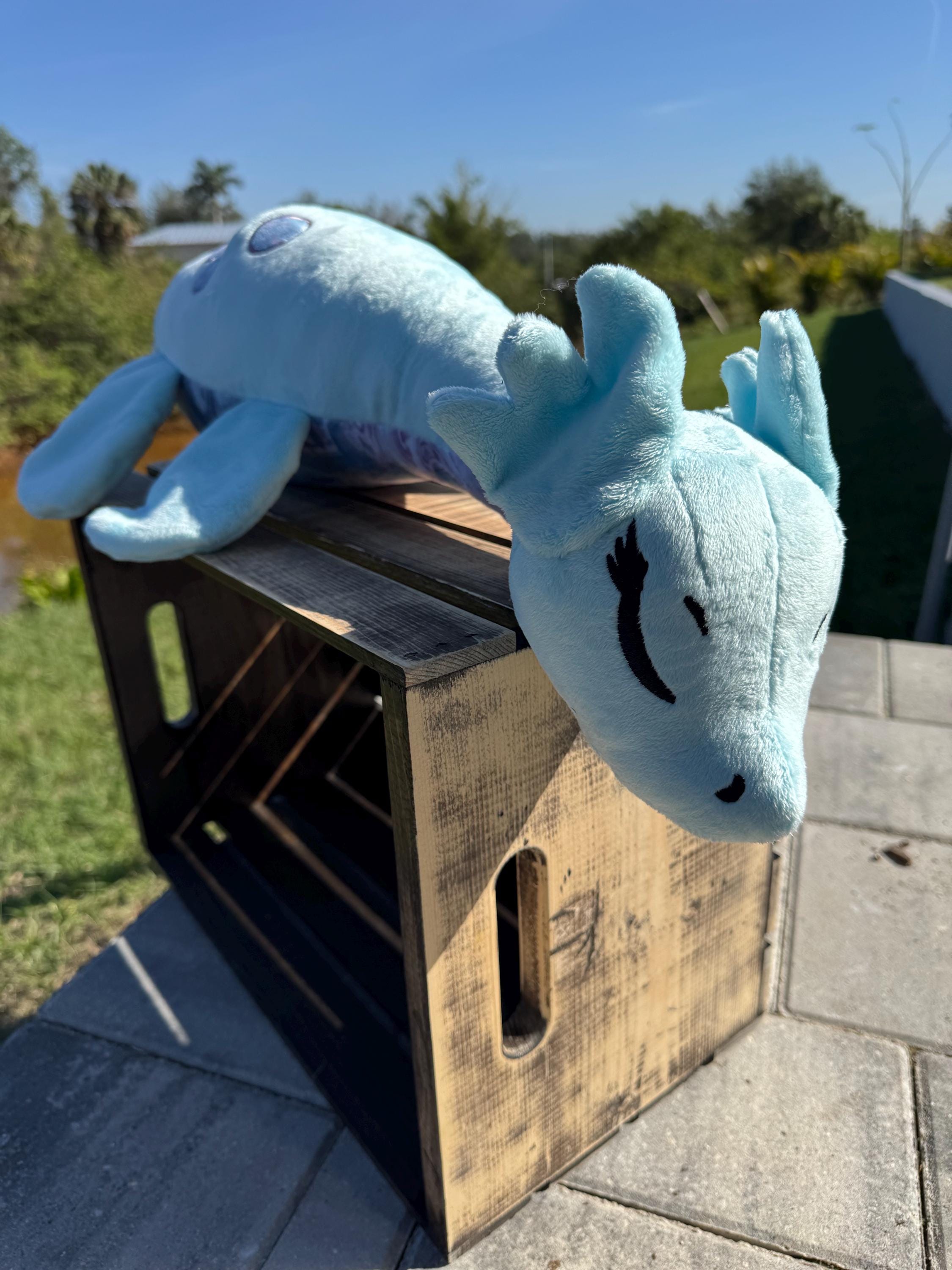Cuddle Plesiosaur