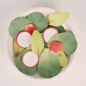 SET DA 5 foglietti adesivi per insalata verde, ingrediente per insalata DESIGN Memo colorato l Simpatico regalo di carta da lettere