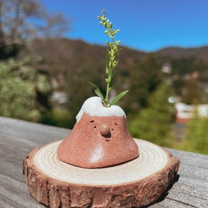 Könnte beinhalten: Ein kleiner, brauner Keramiktopf in Form eines Berges mit einem weißen Gesicht und einer kleinen grünen Pflanze, die aus der Oberseite wächst. Der Topf steht auf einem Holzsockel.