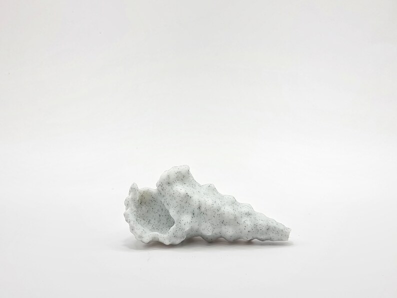 Peut inclure: Une coquille blanche avec une surface rugueuse et textur&eacute;e et une pointe pointue. La coquille a un motif mouchet&eacute; gris clair.