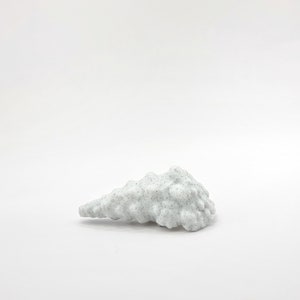 Peut inclure: Coquille blanche avec une surface rugueuse et textur&eacute;e. La coquille a la forme d'un c&ocirc;ne et se termine en pointe.