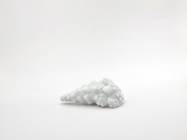 Peut inclure: Coquille blanche avec une surface rugueuse et textur&eacute;e. La coquille a la forme d'un c&ocirc;ne et se termine en pointe.