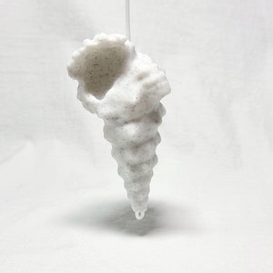 Peut inclure: Une d&eacute;coration en forme de coquillage blanc avec une surface textur&eacute;e. L'ornement est suspendu &agrave; une ficelle blanche.