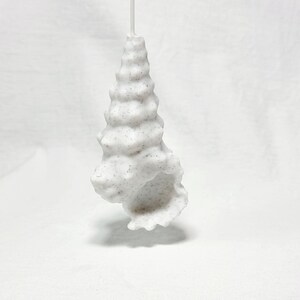 Peut inclure: Une d&eacute;coration en forme de coquillage blanc avec une surface textur&eacute;e. Le coquillage est suspendu &agrave; une ficelle blanche.