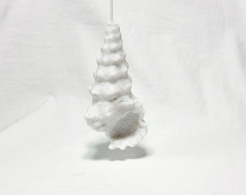 Peut inclure: Une d&eacute;coration en forme de coquillage blanc avec une surface textur&eacute;e. Le coquillage est suspendu &agrave; une ficelle blanche.