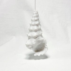 May include: A white seashell ornament with a textured surface. The seashell is hanging from a white string.
