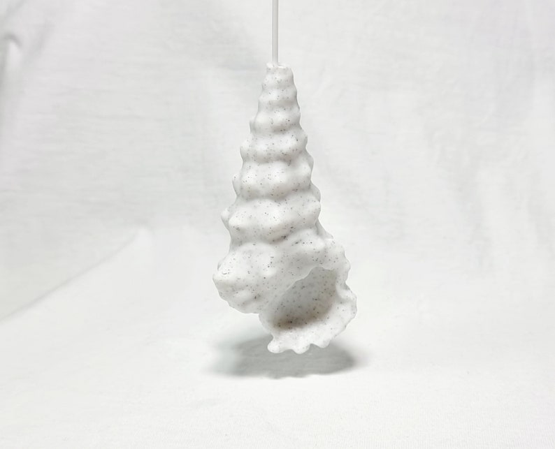 Peut inclure: Une d&eacute;coration en forme de coquillage blanc avec une surface textur&eacute;e. Le coquillage est suspendu &agrave; une ficelle blanche.