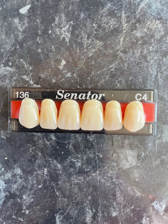 6 Upper Anterior Acrylic Denture Teeth Etsy