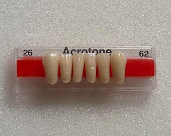 6 Lower Anterior Acrylic Denture Teeth