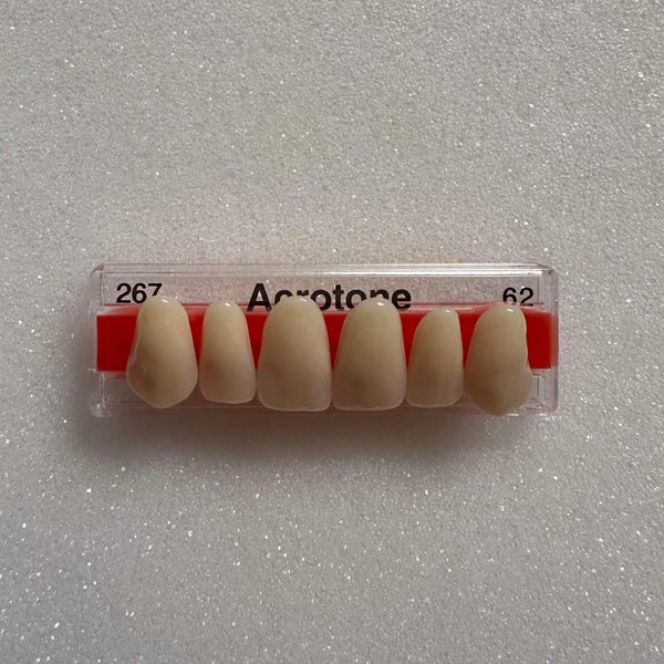 6 Upper Anterior Acrylic Denture Teeth