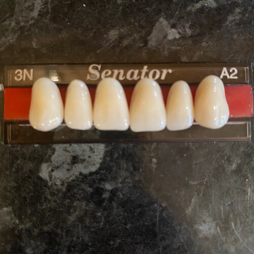 100 Acrylic Denture Teeth Etsy