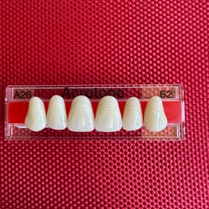 Può includere: Primo piano di cinque campioni di denti artificiali in un vassoio di plastica trasparente. Il vassoio è etichettato "A26" e "62" alle due estremità. I denti sono di un colore giallo chiaro.