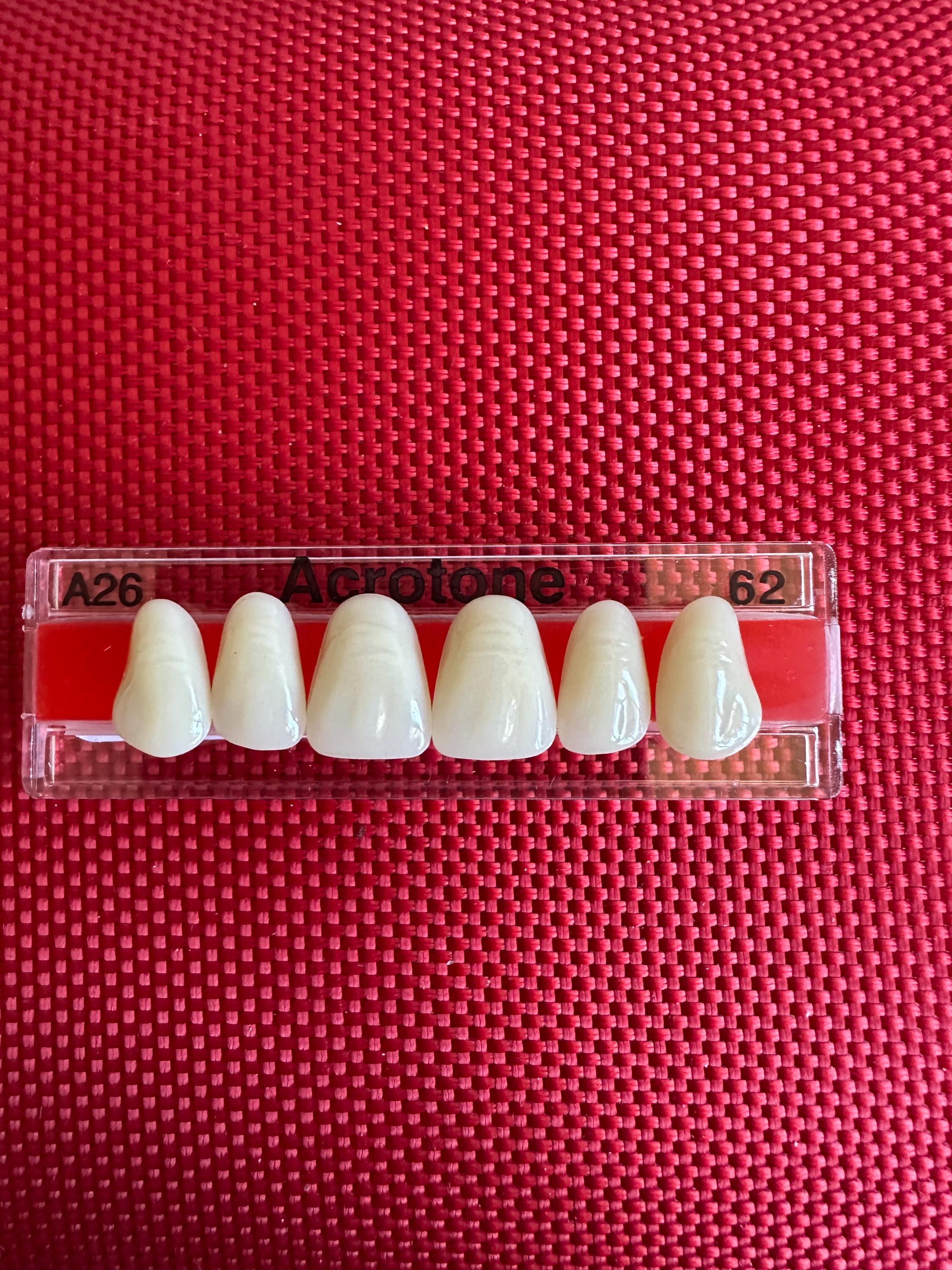 Tooth Acrylic Design 6 Acrylic Denture Teeth - Etsy