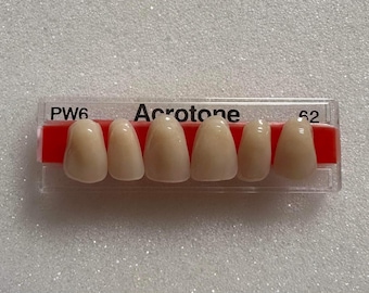 6 Upper Anterior Acrylic Denture Teeth