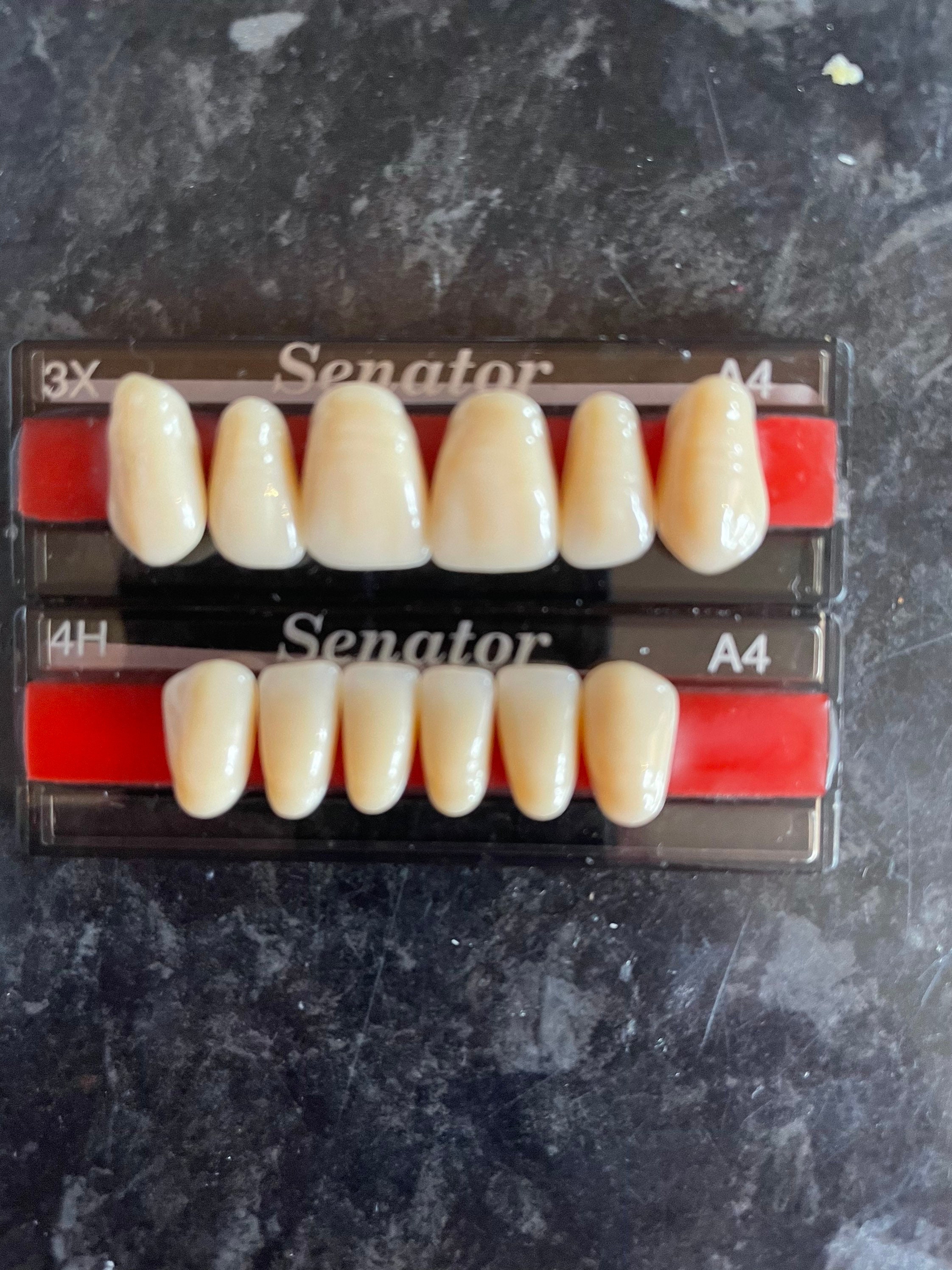 12 Anterior Acrylic Denture Teeth Upper & Lower Etsy