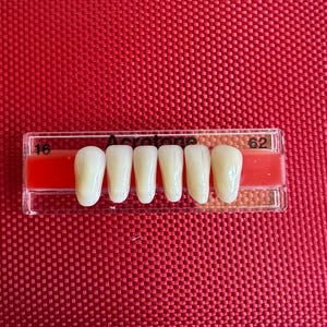 Può includere: Primo piano di un set di sei denti artificiali in una custodia di plastica trasparente con un'etichetta rossa che dice "Acrotone" e i numeri "16" e "62".