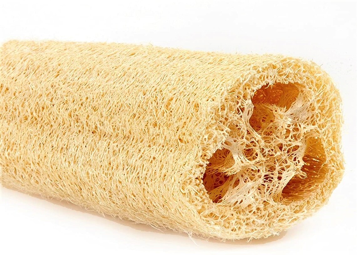 Luffa Sponge luffa Cylindrica Seeds X 3. Fast Growing Vine Etsy UK