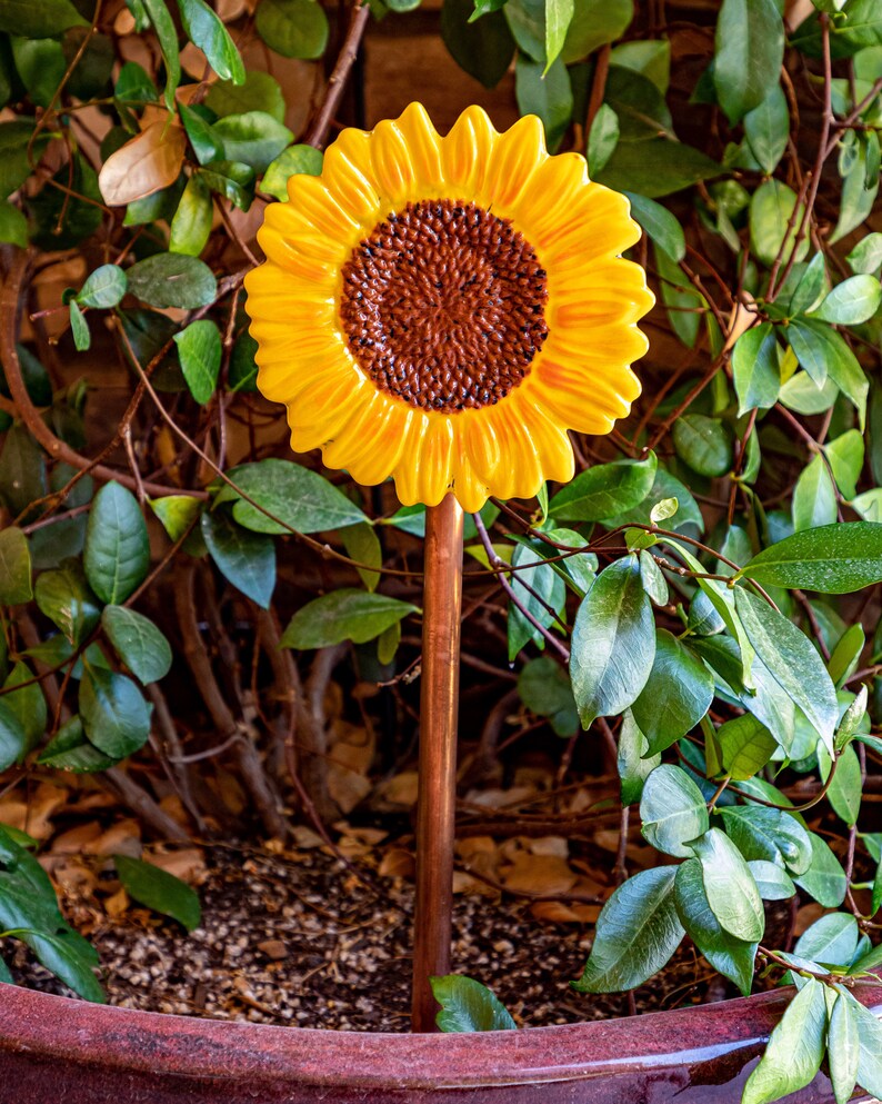 Fused Glass Sunflower Etsy