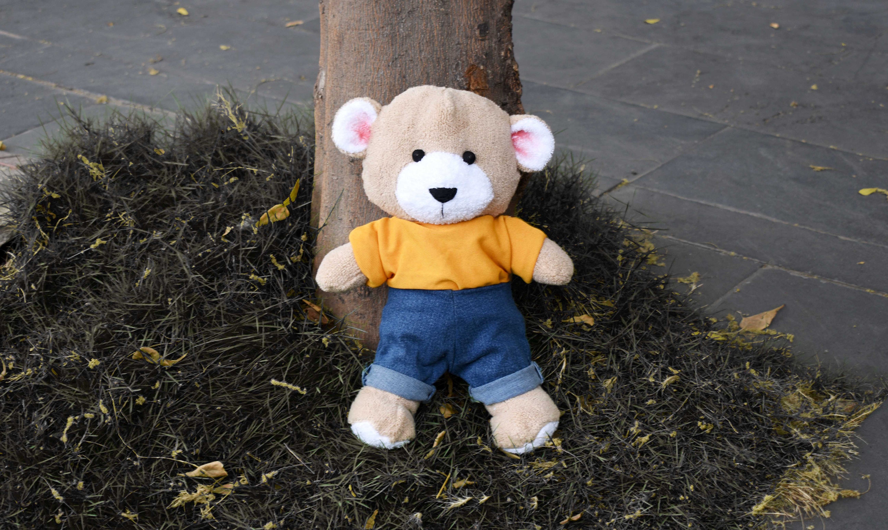 Teddy Bear PDF Pattern Teddy Bear Sewing Pattern - Etsy UK