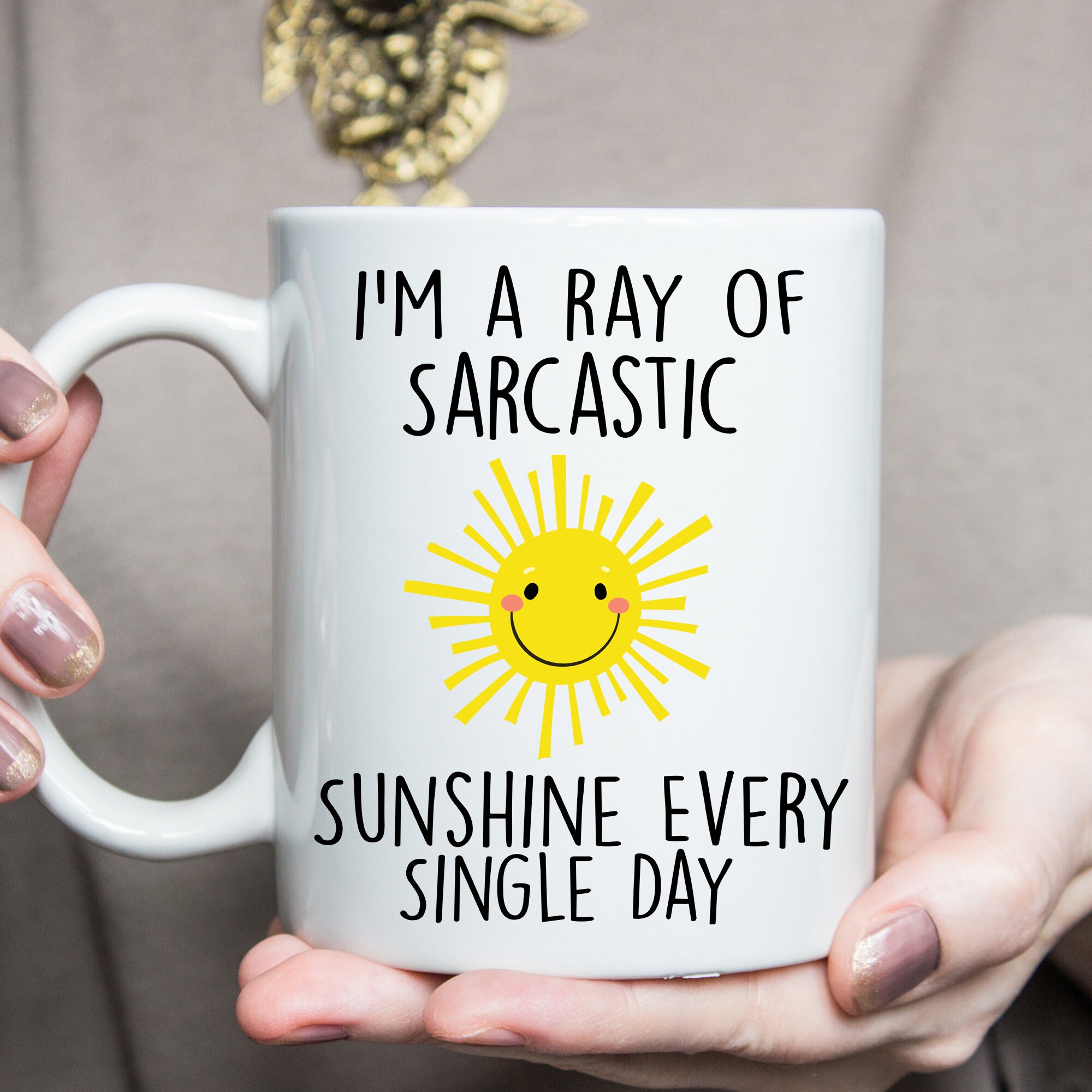 I'm A Ray of Sarcastic Sunshine Every Single Day Lustige Etsy