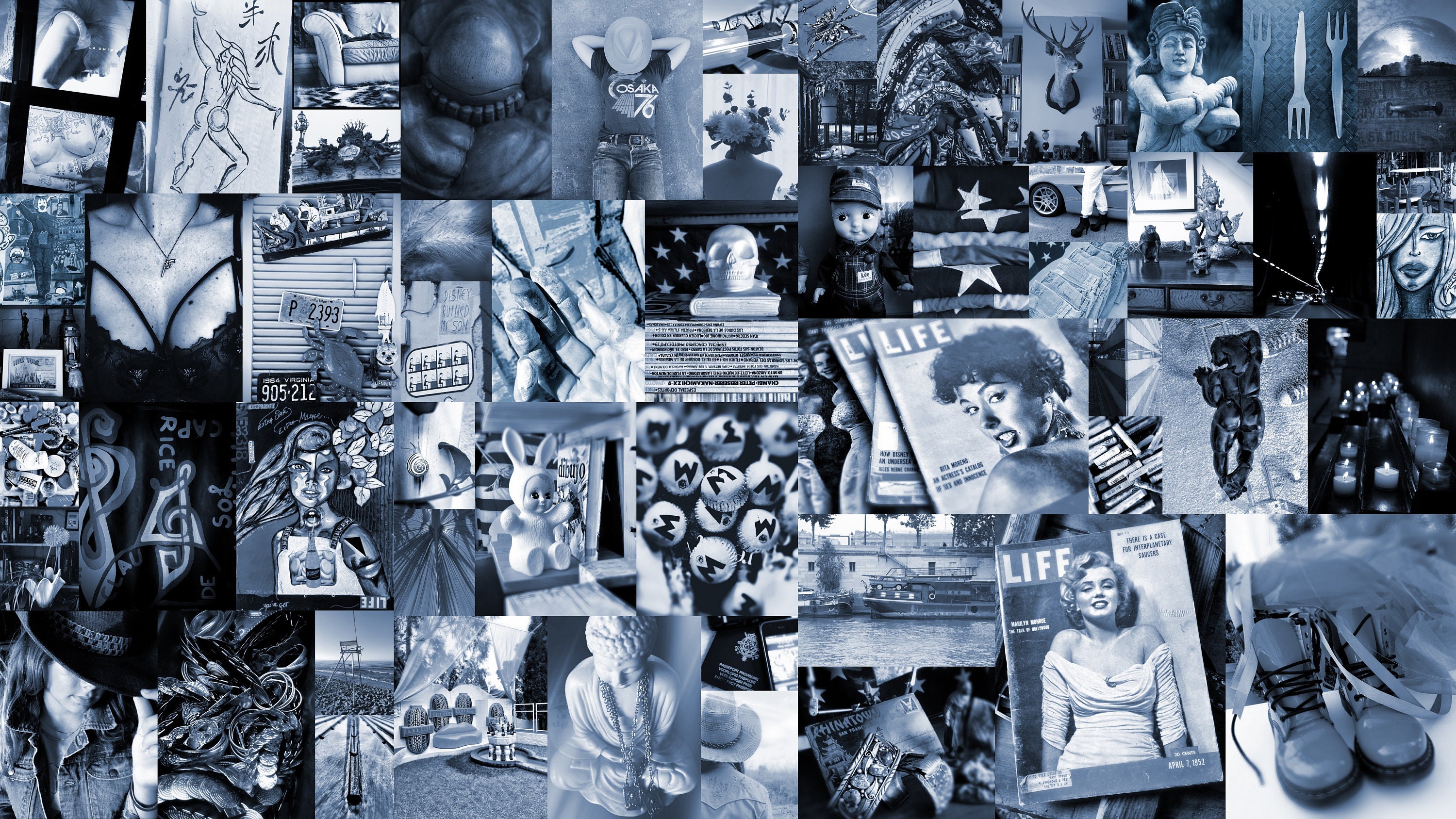 Cyanotype Aesthetic Photo Collage Kit 55 Pieces Blue/-grey Cyanotype Aesthetic Photo Collage Kit 55 Pieces Blue/-grey