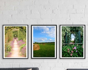 garden alley field country set, green landscape flower Berry France Fresh nature print set photography set of 3 pieces pictures photos