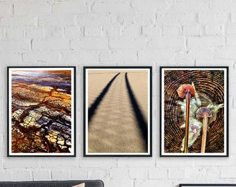 nature elements ochre tones set, wood, sand, texture photography set of 3 pieces pictures photos