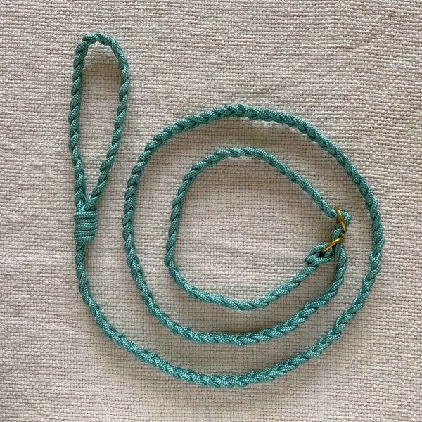 Turquoise short leash / puppy leash with slip-on collar