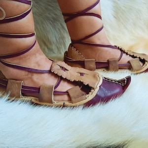 May include: A pair of brown leather sandals with purple straps. The sandals have a pointed toe and are tied up the leg.