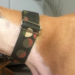 CONFETTI RADDISH Martingale Collar