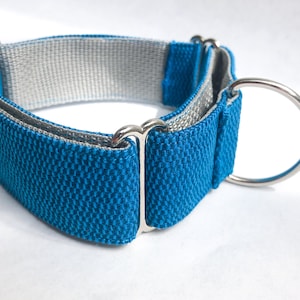 Martingale Collar - ColorBlock