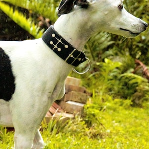 SMALL DOT - BLACK Zugstopphalsband