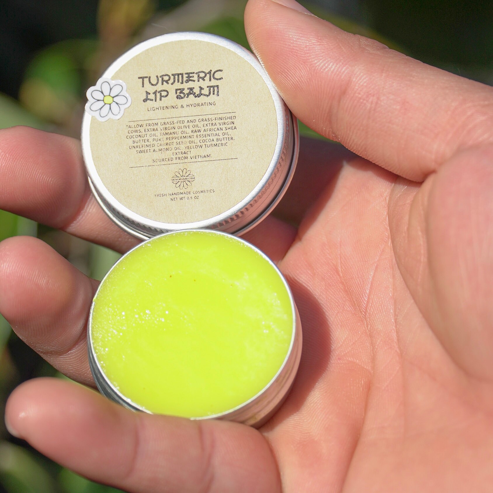 Turmeric Lip Balm Turmeric Restore Natural Lip Balm Etsy Singapore