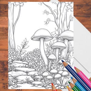 May include: Black and white line art coloring page featuring a forest scene with mushrooms, trees, and a stone path. Colored pencils in red, orange, yellow, green, blue, and pink are arranged on the right side of the image. A white envelope is also present.