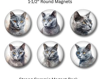 Gray Cat Magnets - Refrigerator Decor, Set of 6