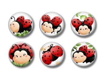 Ladybug Magnets, Fridge Decor, Ladybug Theme (Set of 6)