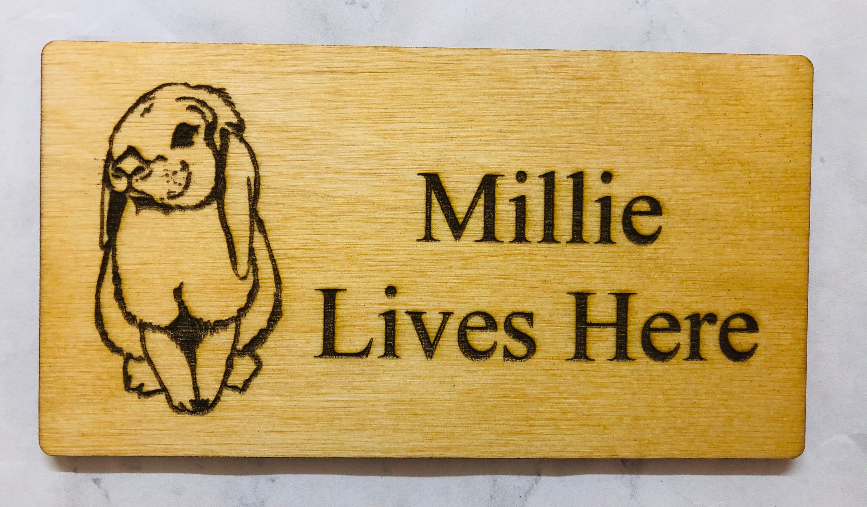 Name Sign For Rabbit Personalised Wooden Engraved Rabbit Name Plaque/hanging Sign - 4 ...