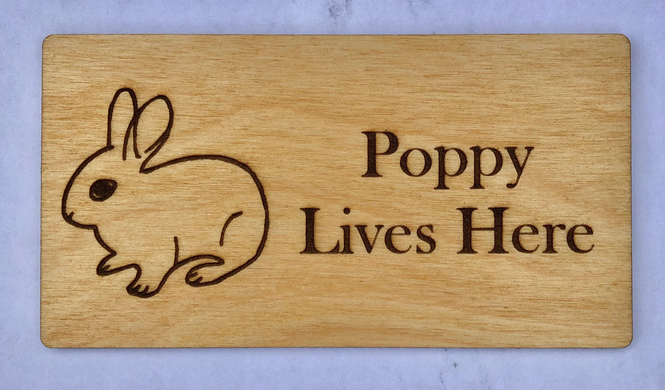 Name Sign For Rabbit Personalised Wooden Engraved Rabbit Name Plaque/hanging Sign - Etsy UK