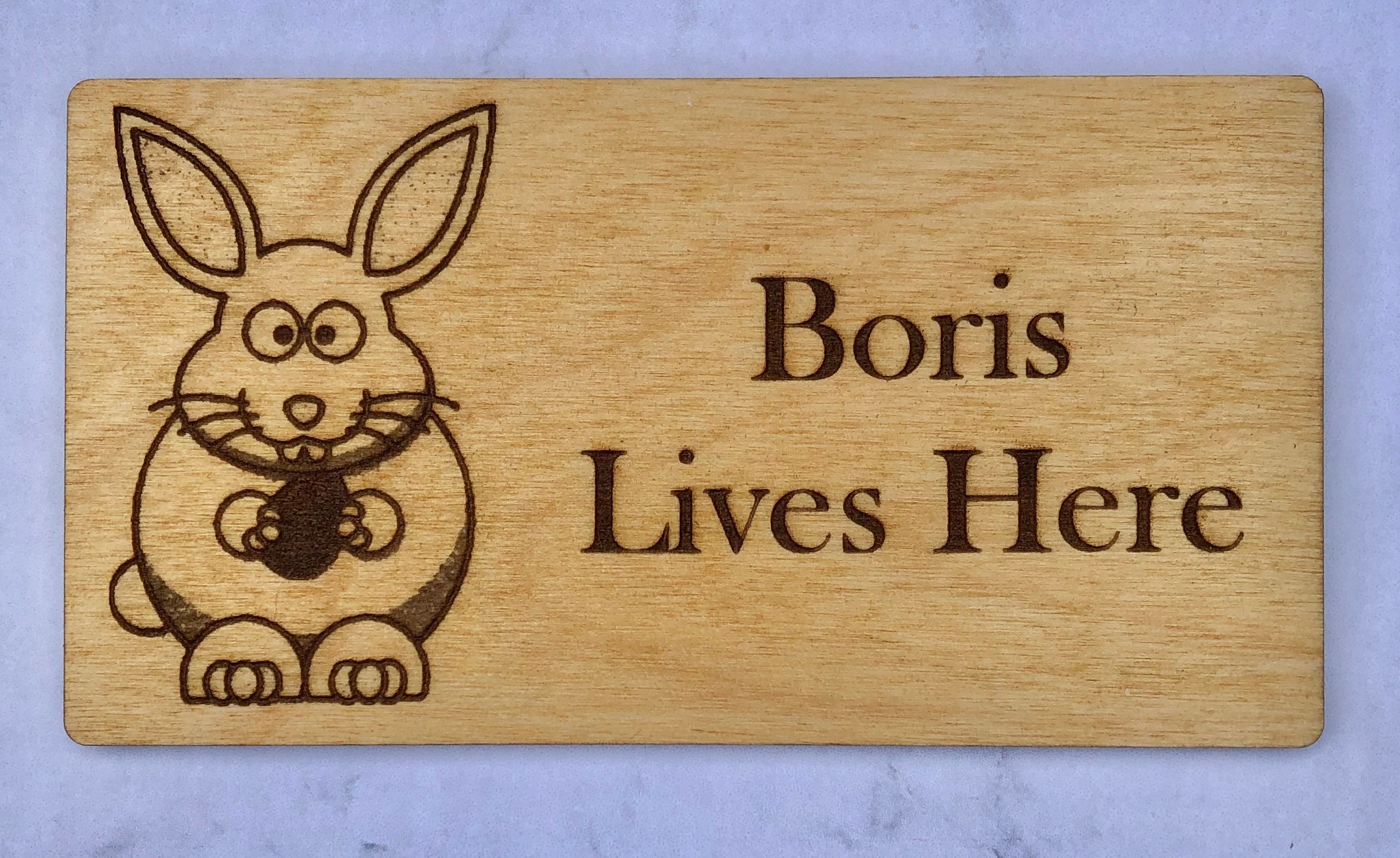 Name Sign For Rabbit Personalised Wooden Engraved Rabbit Name Plaque/hanging Sign - 4 ...